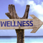 Prioritising Wellness